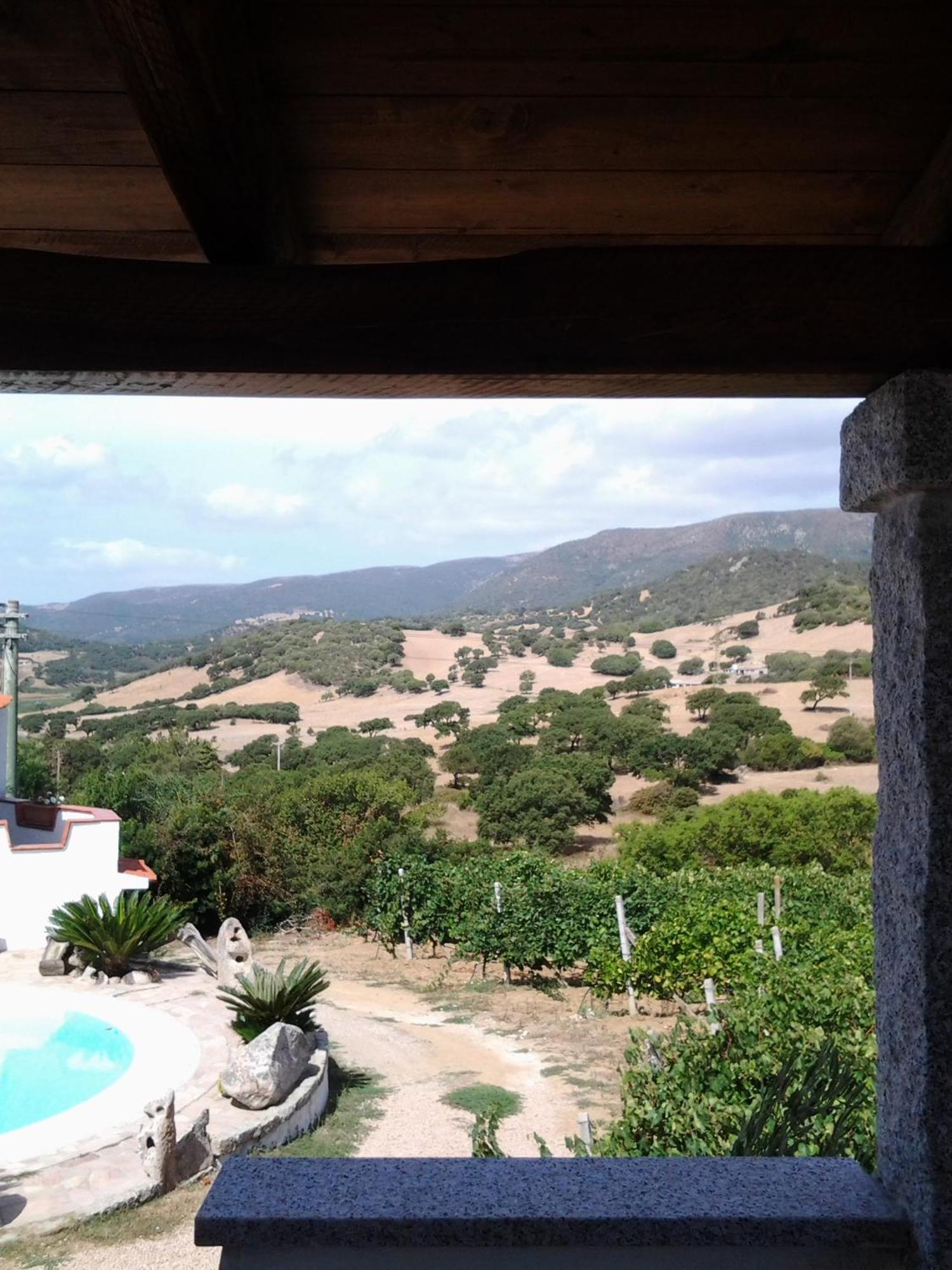 Agriturismo B&B Domo De Resteblas Berchidda Kültér fotó