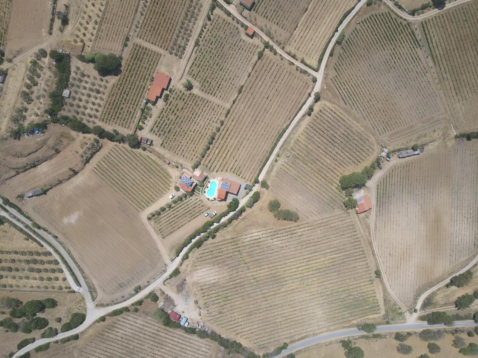Agriturismo B&B Domo De Resteblas Berchidda Kültér fotó