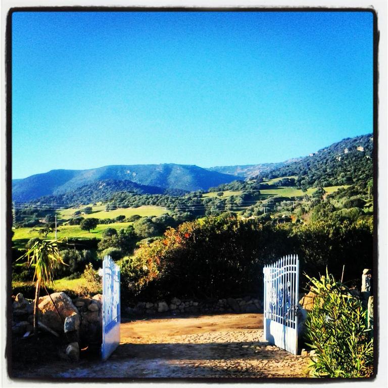 Agriturismo B&B Domo De Resteblas Berchidda Kültér fotó