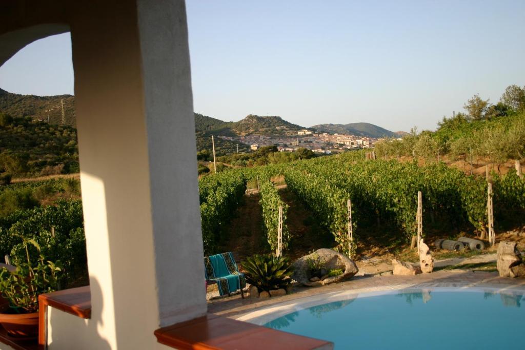 Agriturismo B&B Domo De Resteblas Berchidda Kültér fotó