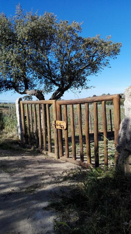 Agriturismo B&B Domo De Resteblas Berchidda Kültér fotó