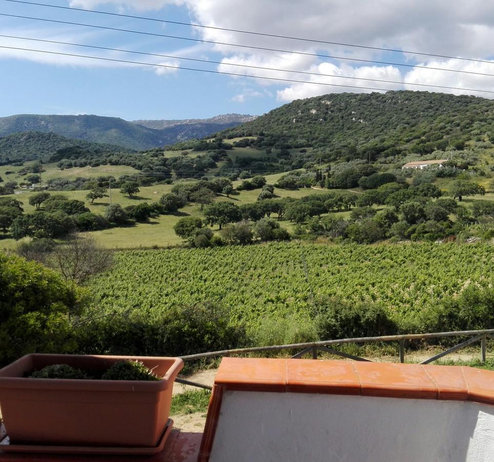 Agriturismo B&B Domo De Resteblas Berchidda Kültér fotó