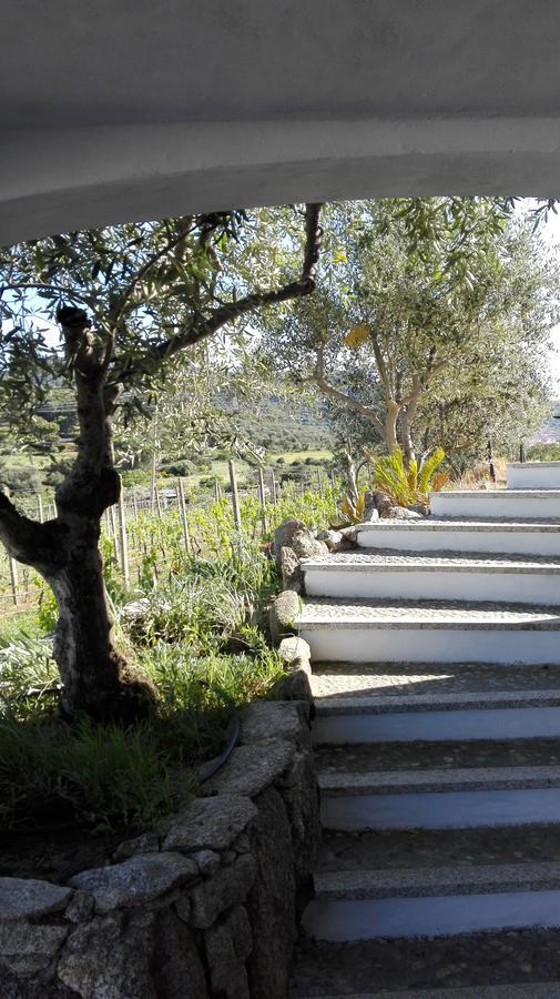 Agriturismo B&B Domo De Resteblas Berchidda Kültér fotó