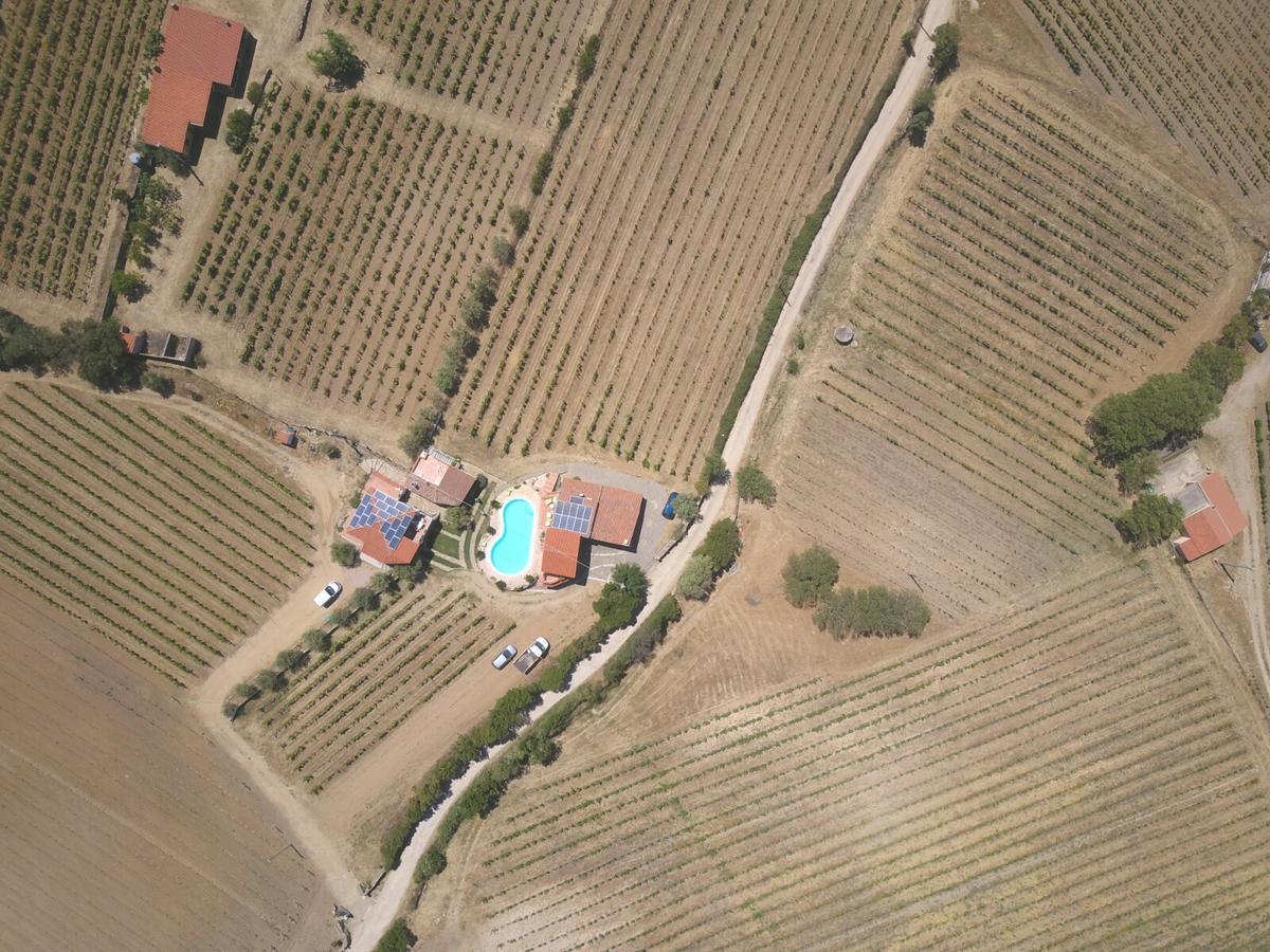 Agriturismo B&B Domo De Resteblas Berchidda Kültér fotó