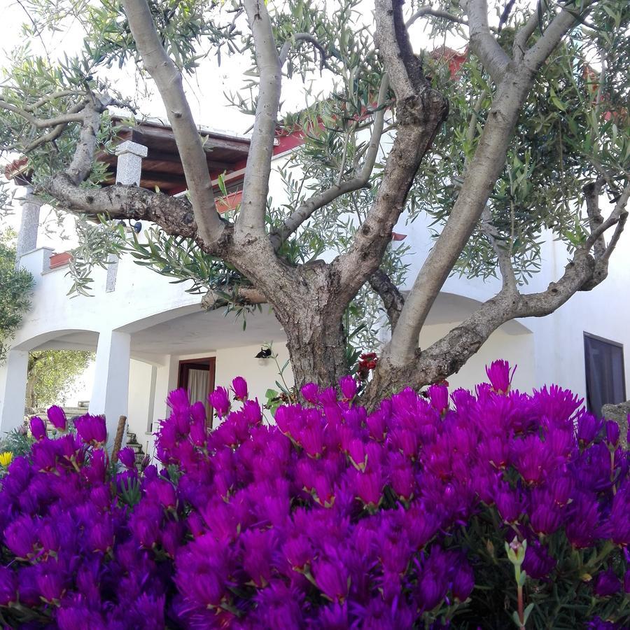 Agriturismo B&B Domo De Resteblas Berchidda Kültér fotó