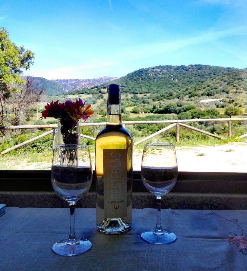 Agriturismo B&B Domo De Resteblas Berchidda Kültér fotó